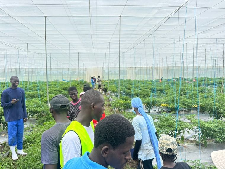 Action environnementale et agricole — 26 août 2025