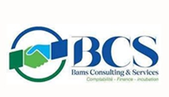 Bams Consulting & Services